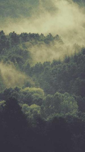 泛目录站群怎么操作截图3