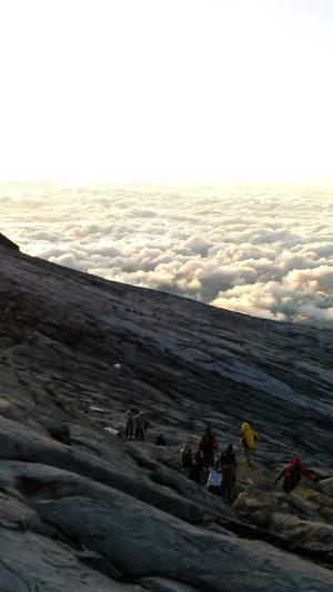 自动蜘蛛池截图5