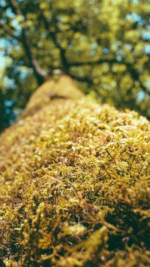 搜狗给力蜘蛛池登录截图1