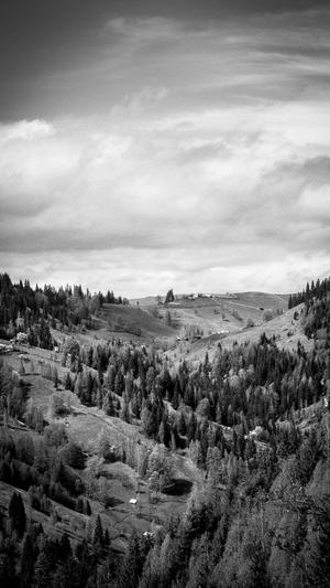 旺道seo软件截图2