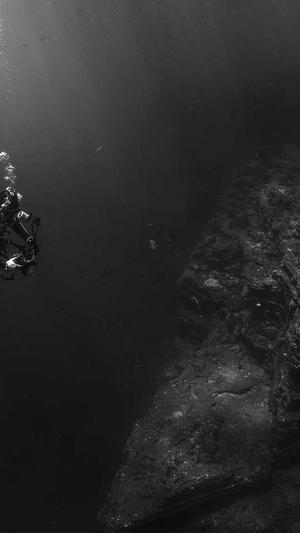 梦幻西游私服服发布网截图3