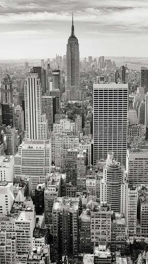 秒收录蜘蛛池营销截图2