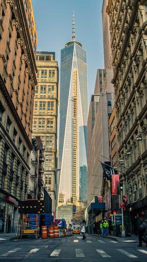 龙凤蜘蛛池出租截图2