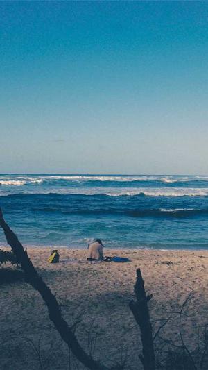 海南蜘蛛池租用截图2