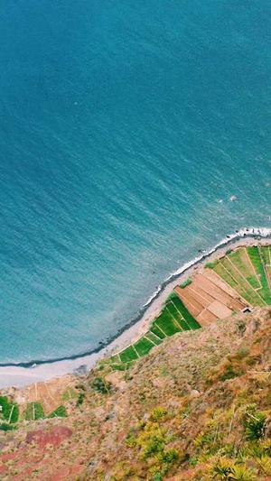 蜘蛛池增强版截图3