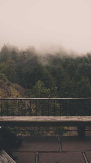 泛目录程序源码截图2