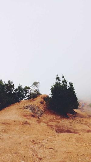 百度蜘蛛繁殖池截图1