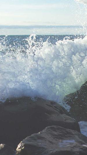 抚顺seo优化截图2