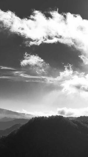 天津seo旺道截图1