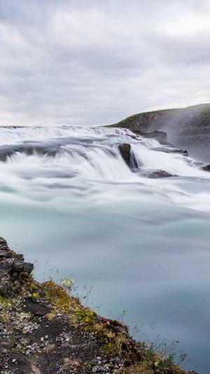 蜘蛛池 变现截图1