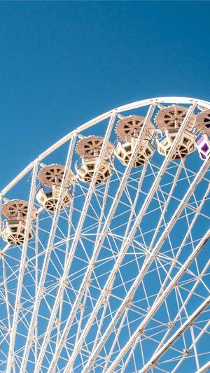 旺道seo软件截图1