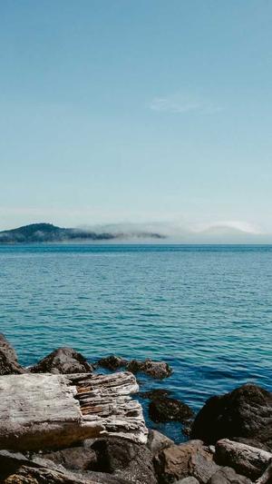 梦幻西游私服下载截图2