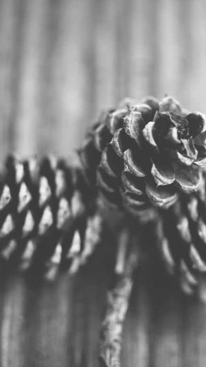 阿里蜘蛛池原理最新截图3