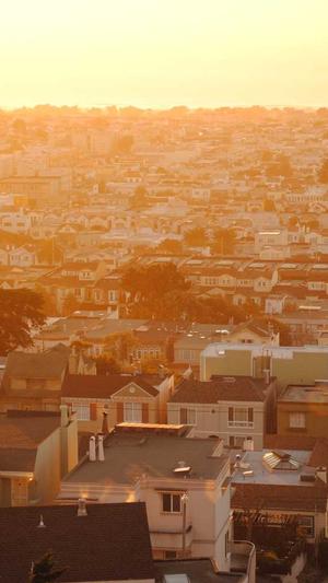 免费蜘蛛池搭建方法截图1