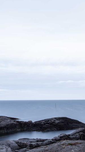 测试蜘蛛池截图4