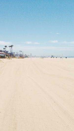 搜狗给力蜘蛛池登录截图4