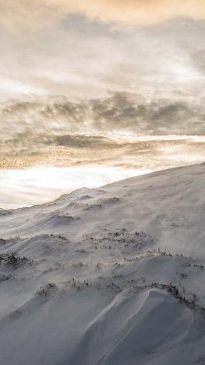 免费蜘蛛池搭建方法截图3