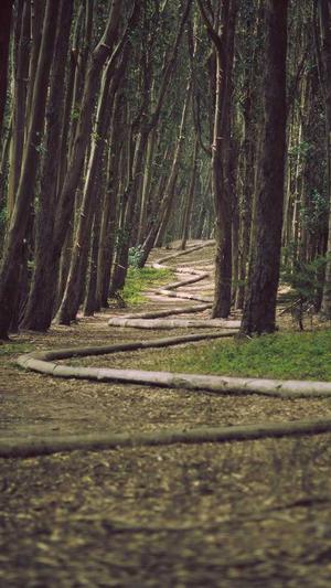 泛目录最新软件截图2