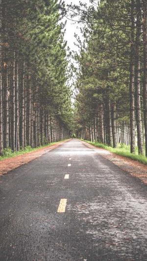 蜘蛛池秒收录截图4