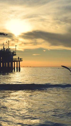 阿里蜘蛛池免授权v7截图1