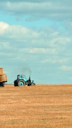 seo网站优化方案截图1