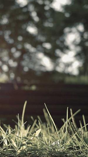 梦幻西游手游最火私服截图2