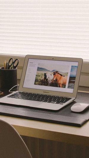 效果不错的蜘蛛池截图1