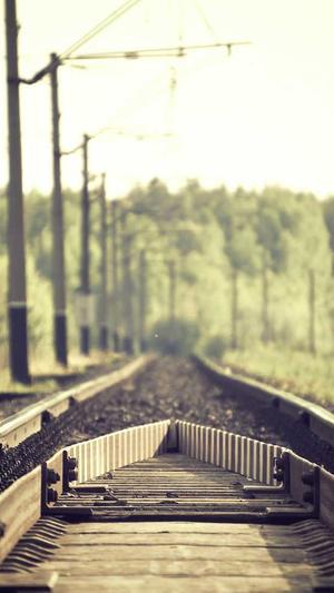 梦幻西游独家手游私服截图3