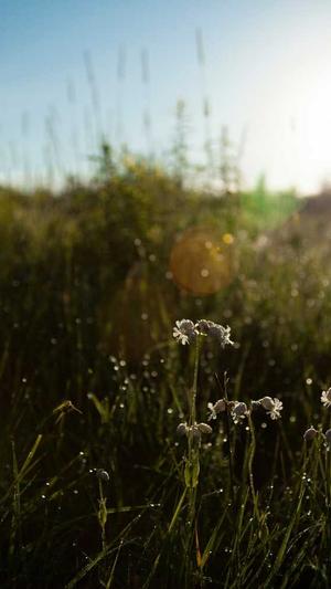 seo搜索优化截图1