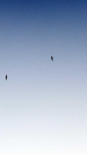 梦幻西游私服梦呓源码截图3