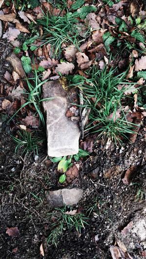 蜘蛛池使用视频讲解截图4