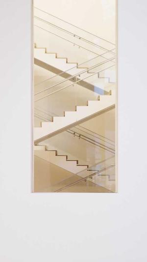 浙江蜘蛛池出租服务截图5