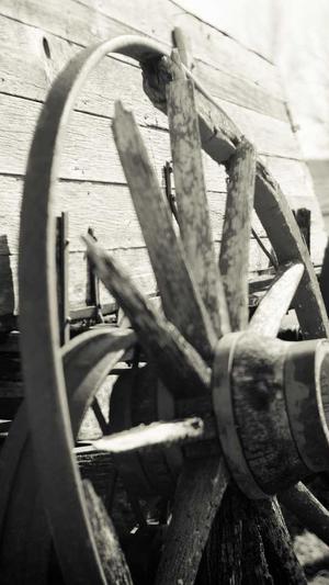 蜘蛛池出租教程视频截图3