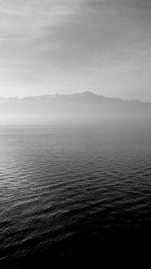 蜘蛛池 在的徽ahua seσ截图4