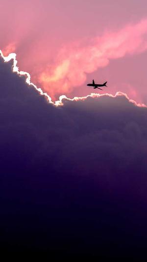 蜘蛛池的好处和坏处截图5