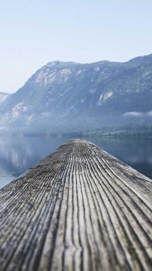 小旋风蜘蛛池怎么样用截图3