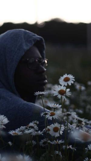 超级蜘蛛池无法注册截图4