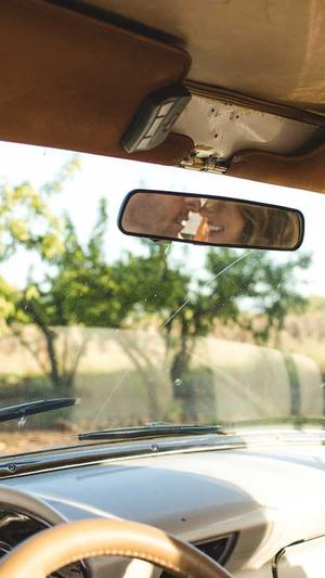 自动蜘蛛池截图1