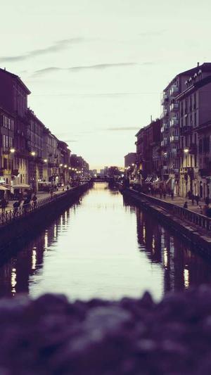 阿里蜘蛛池外推截图2