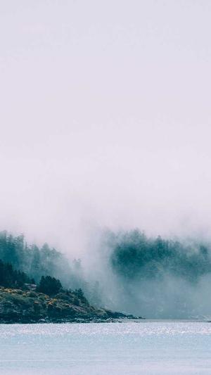 蜘蛛池的坏处和好处截图2