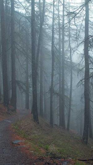 梦幻西游私服套路真多截图1