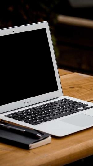 搜狗给力蜘蛛池登录截图2