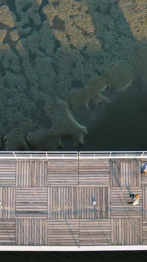 淮南seo赛雷猴截图4