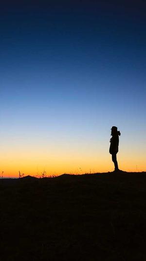 头条蜘蛛池租用多少钱截图1