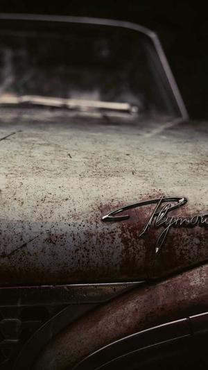 蜘蛛池免费推广截图5