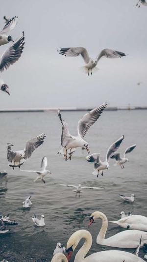 河北网站seo截图1