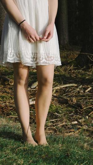 梦幻西游私服在哪下载截图2