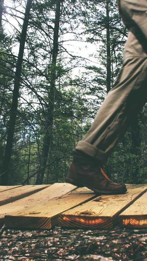 泛目录php2.0截图3