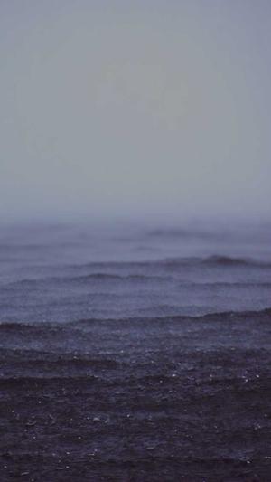 梦幻西游sf私服手游截图2