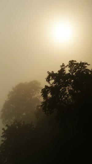 怎么优化seo截图1